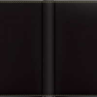 LINIA PIONOWA czarny oliwkowy